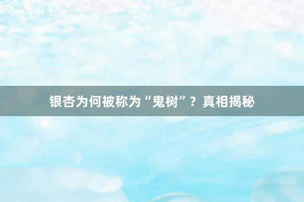 银杏为何被称为“鬼树”？真相揭秘