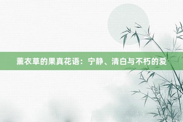 薰衣草的果真花语：宁静、清白与不朽的爱