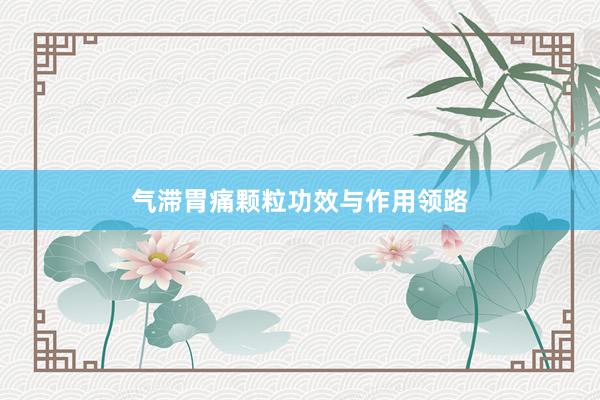 气滞胃痛颗粒功效与作用领路